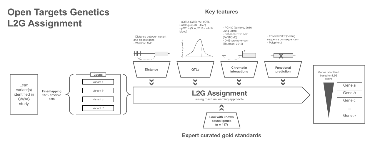 Screenshot of steps involved in Open Targets Locus2Gene assignment pipeline