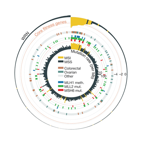 Screenshot of image taken from the Project Score research publication