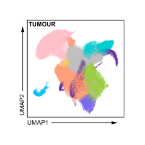 UMAP of tumour cells