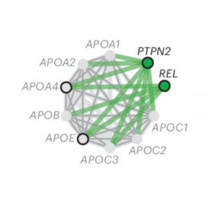 Colon-specific protein association network